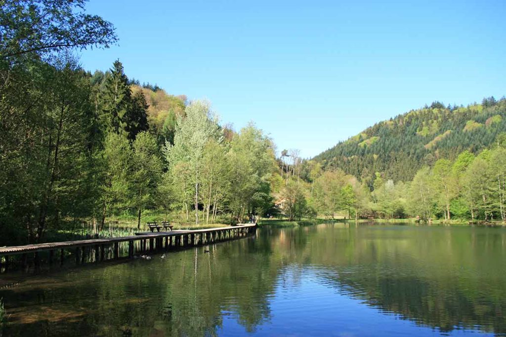 Helmbachweiher mit Freizeitanlage bei Elmstein in der Pfalz