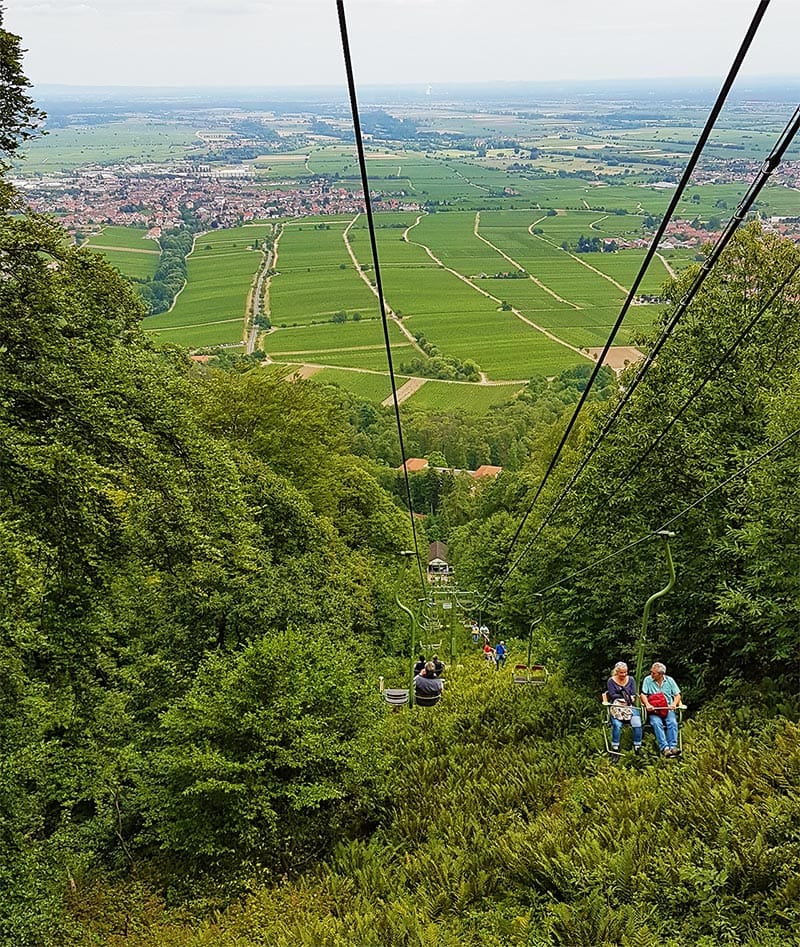 Die Rietburgbahn bei Edenkoben in der Pfalz