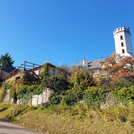 Slevogthof – Hofgut Neukastell über Leinsweiler in der Südpfalz