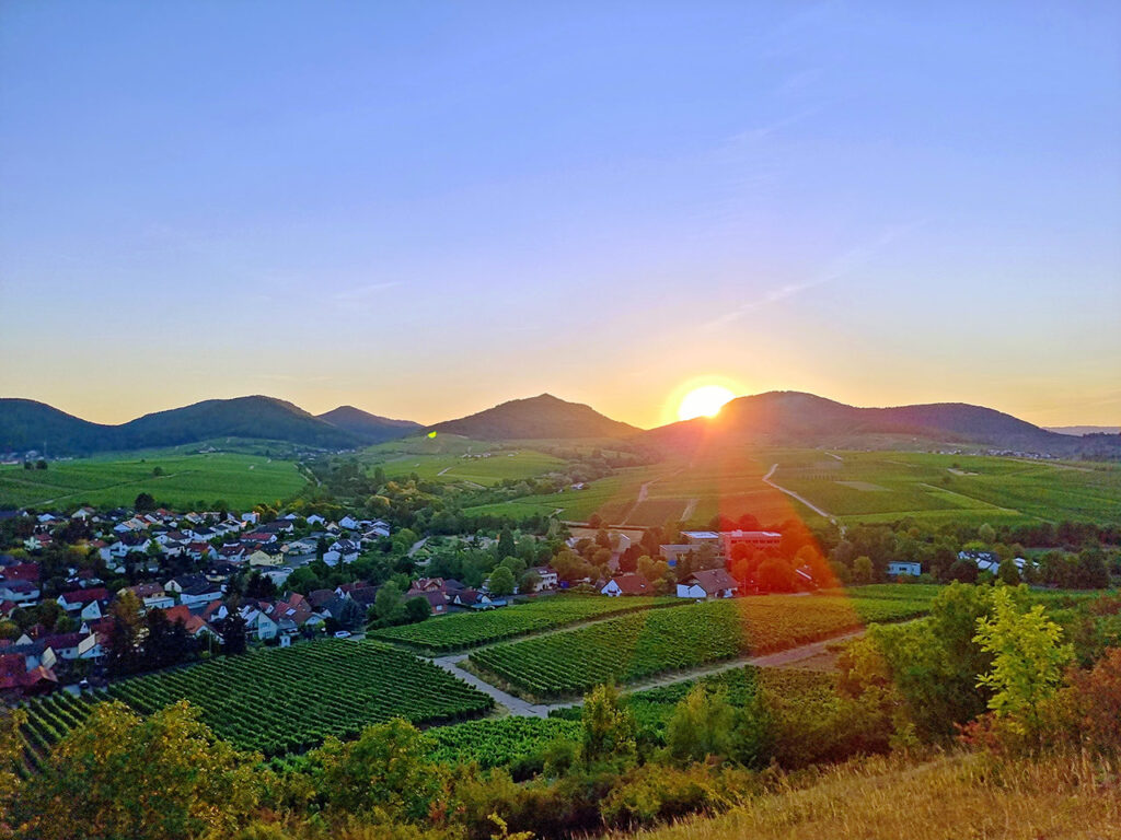 Blick von der Kleinen Kalmit auf Ilbesheim, das Rebenmeer der Südlichen Weinstraße und den Pfälzerwald