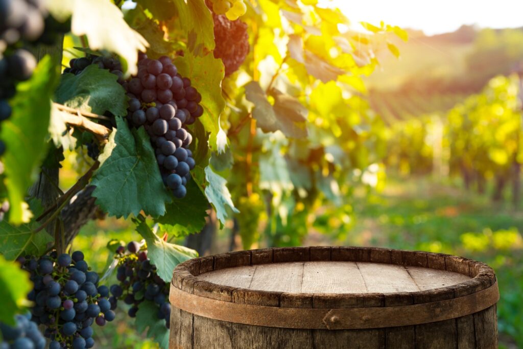 Der Weinbau spielt für die Wirtschaft in Neustadt eine wichtige Rolle. Bild: Adobe Stock, © kishivan (#220494498) (Symbolbild)