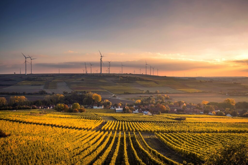 Modern und zukunftsfähig- Rheinland Pfalz